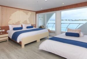 luxury cruise galapagos elite catamaran room