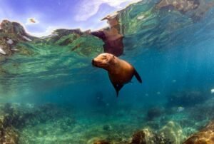 vacations packages galapagos island