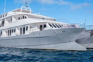 luxury cruise galapagos-alya catamaran