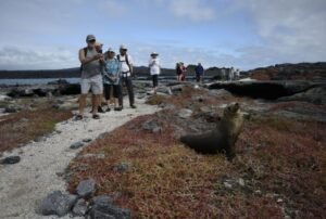 luxury cruise galapagos galaxy sirius catamaran tourists
