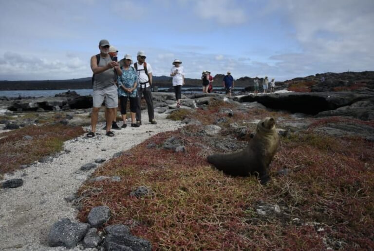 luxury cruise galapagos galaxy sirius catamaran tourists