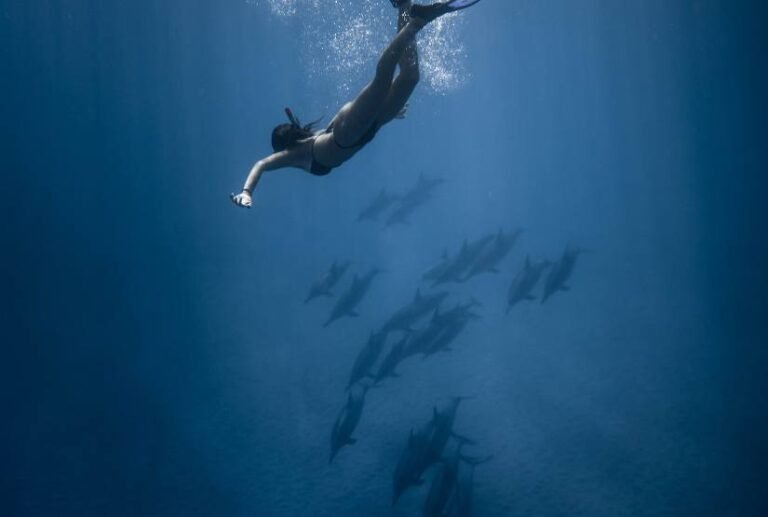 luxury cruises galapagos