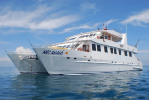 luxury cruise galapagos anahi catamaran