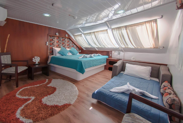 luxury cruise galapagos anahi catamaran room