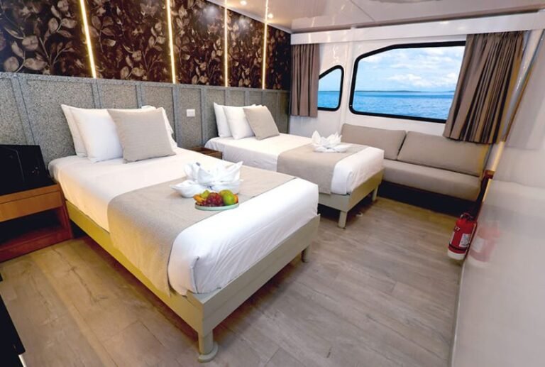 luxury crusies galapagos ecogalaxy catamaran room