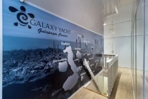 luxury crusies galapagos galaxy yacht poster