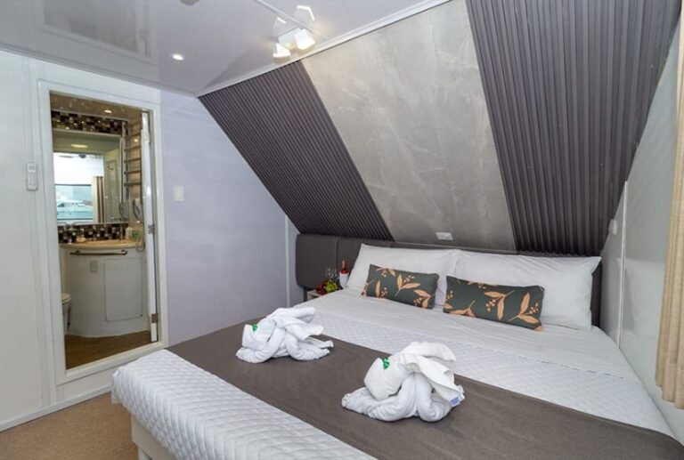 luxury crusies galapagos galaxy yacht room