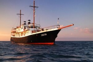 evolution yacht