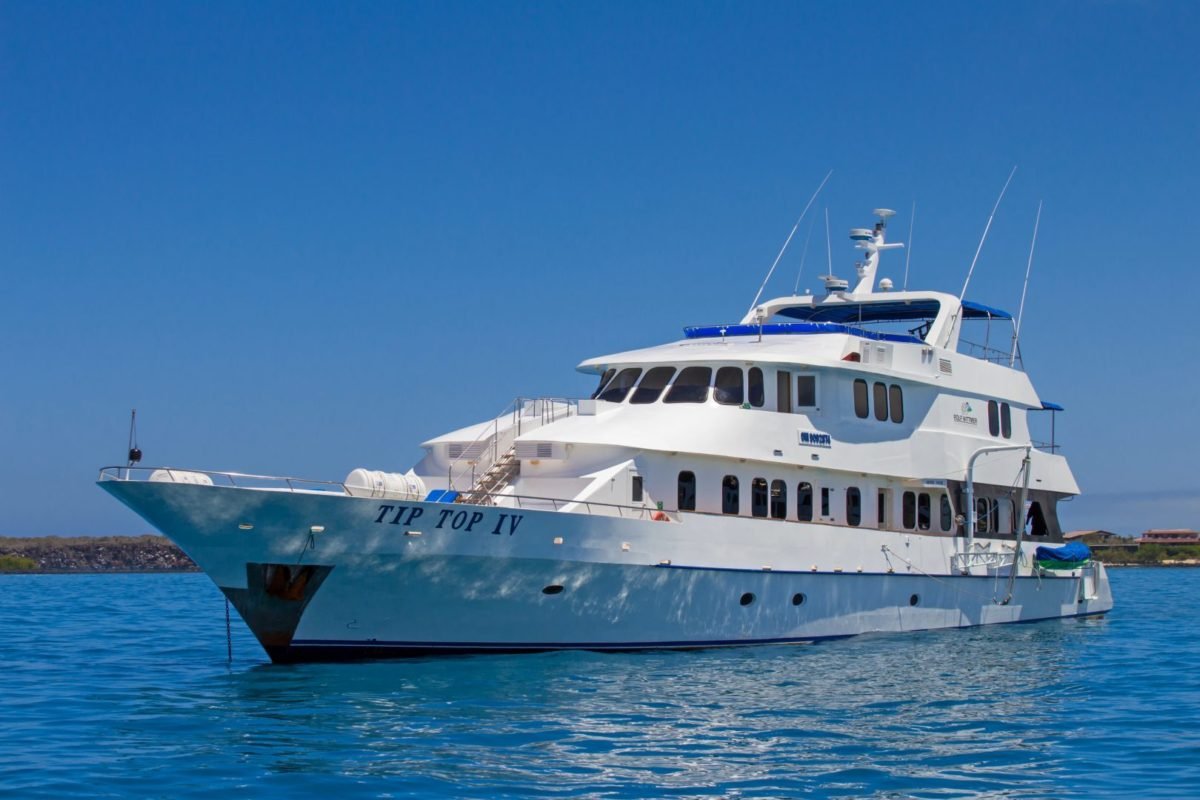 Tip Top IV Exterior 1200x800