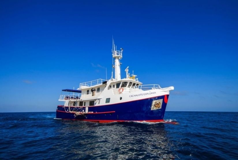 Cachalote explorer yacht