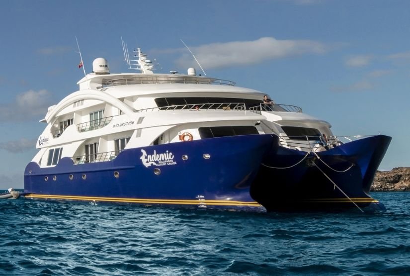 Endemic Catamaran