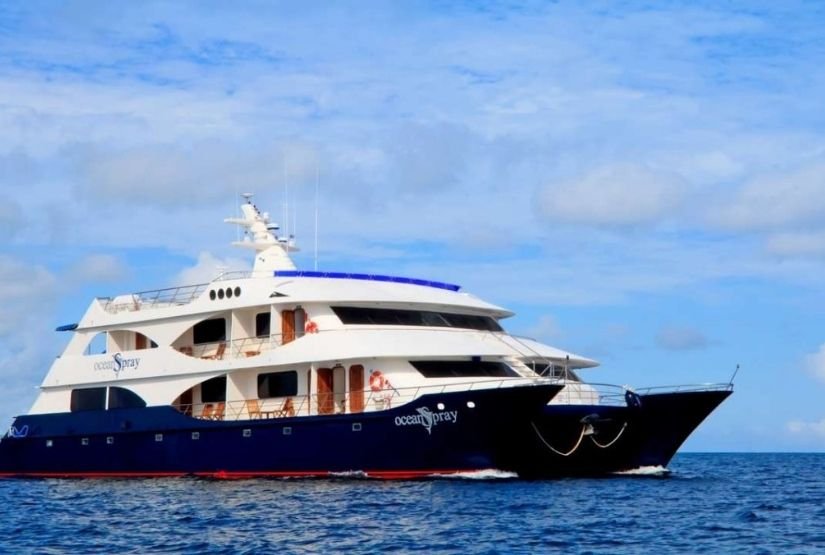Ocean Spray Catamaran