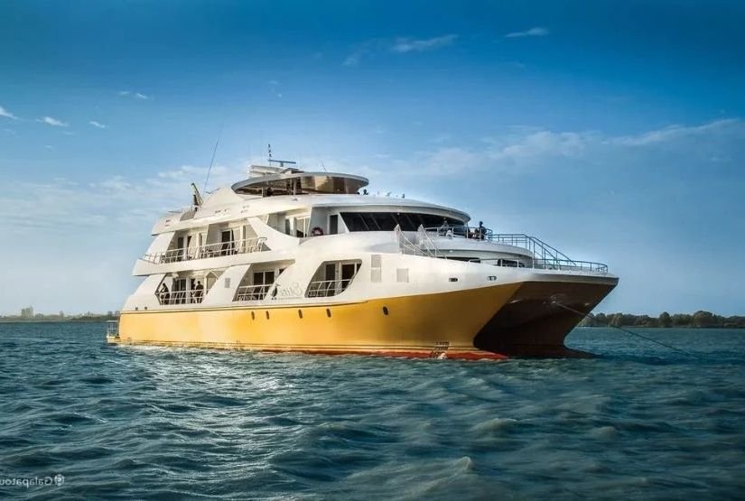 elite catamaran